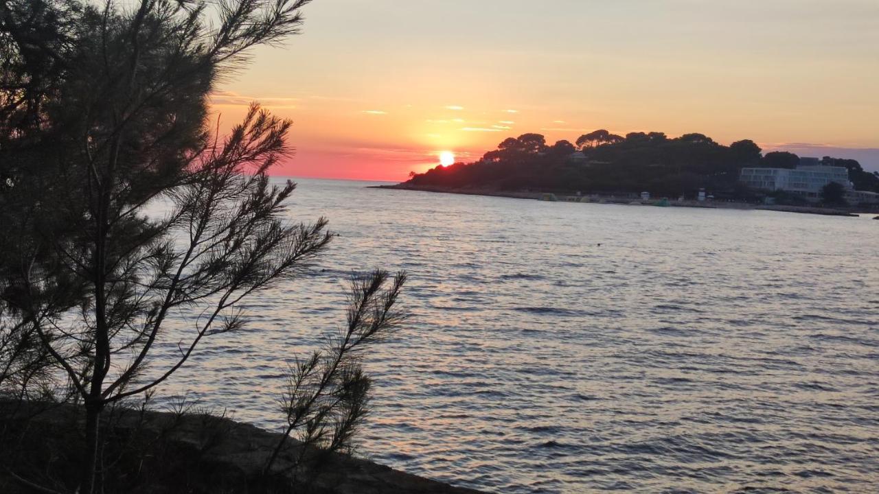 Parenzo Premium Apartment Poreč Dış mekan fotoğraf